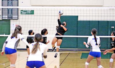 Westmoor volleyball 2