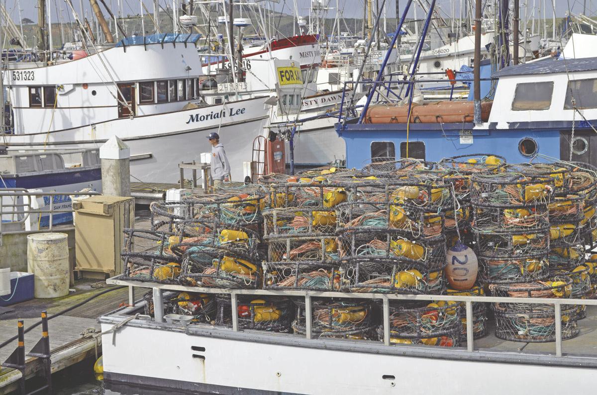 New Dungeness crab rules: Traps may be prohibited