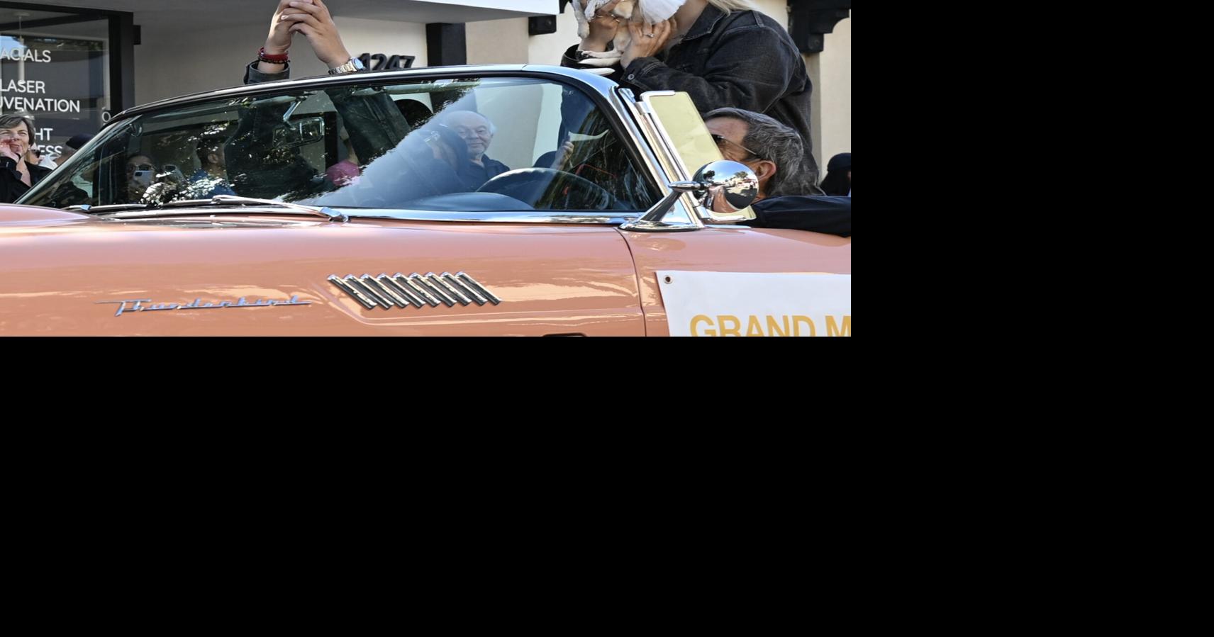Lexi the Chihuahua leads Burlingame Pet Parade