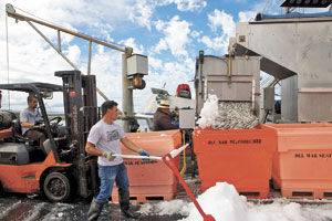 Squid are here and fishermen moving fast: Pillar Point Harbor a flurry of activity until state quota reached