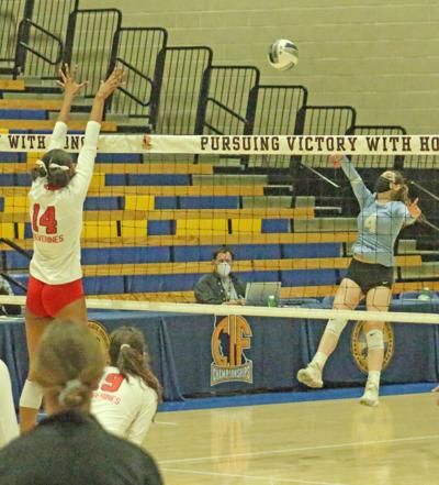 Hillsdale volleyball - Makarewycz