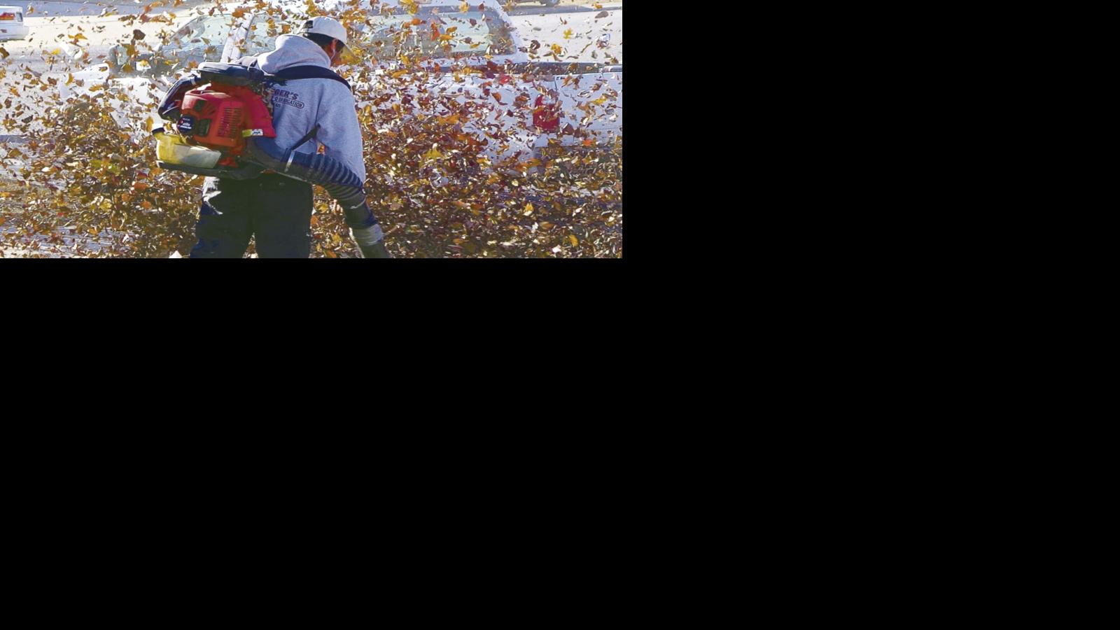 San Carlos pilots a new rebate program for electric leaf blowers