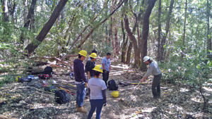 Youth care for hundreds of acres of parks: Students carve out trails; remove invasive species; and create interactive maps