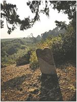 New interest in Purissima Cemetery