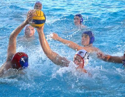 Serra polo: Ryhs Salma