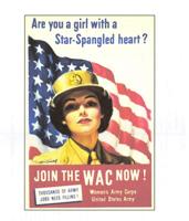 Rediscovering the Peninsula: Women in the services