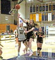 NDB shows its mettle as No. 1 seed vs Terra Nova