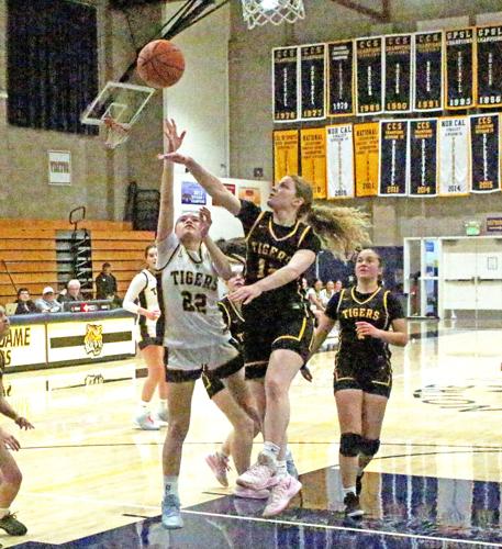 NDB hoops: Mika Cary