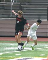 Dons dumped by the Irish