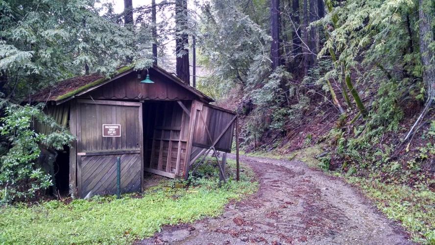 Bear Creek Redwoods Open Space Preserve