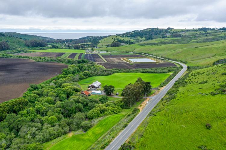 Rising Acres & San Gregorio Farm - Teddy Miller 2019.jpg