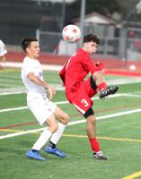 Panthers take down Padres