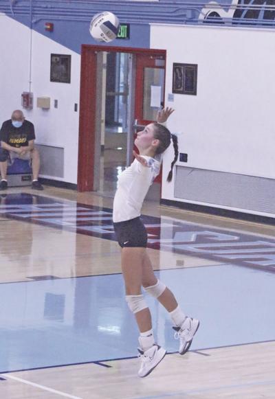 Hillsdale volleyball Ashley Driscoll