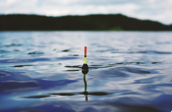 fishing.png