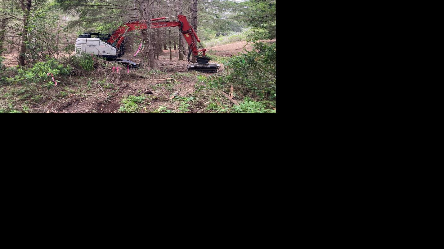 Midpeninsula Regional Open Space District, Woodside Fire Protection District step up wildfire preparedness