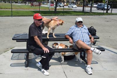 Foster City dog park