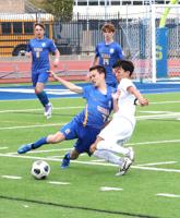 Serra solid in scorless tie
