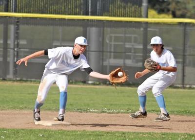Hillsdale baseball: Hoskins