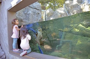 Cultivating curious kids: CuriOdyssey announces $35M revamp, fundraising underway