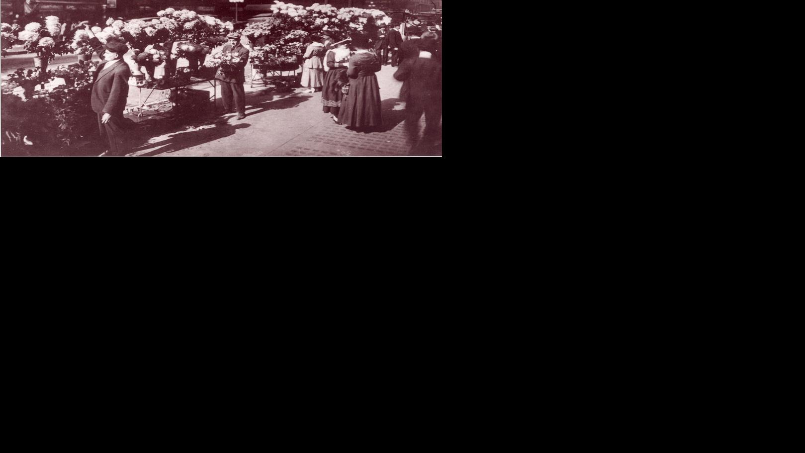 Rediscovering the Peninsula: The San Francisco flower market