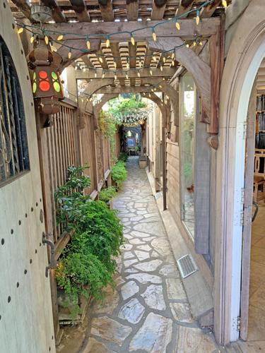 Carmel Susan travel 2