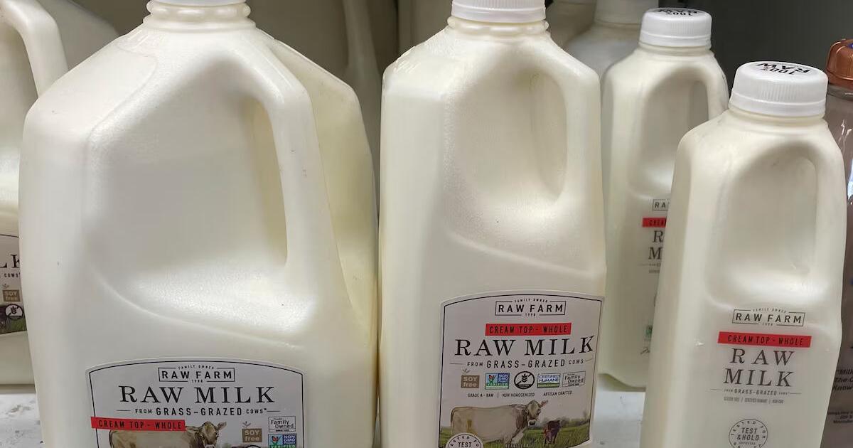 There's bird flu in US dairy cows. Raw milk drinkers aren't deterred - Vimarsana News