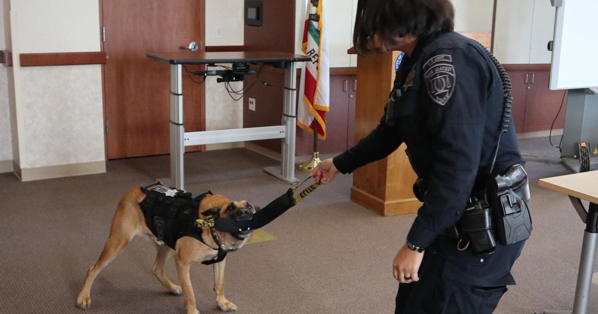 California Humane Police Taking a bite out of crime: San Mateo police dog balances community ...