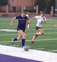 Tie feels like win for Ravens