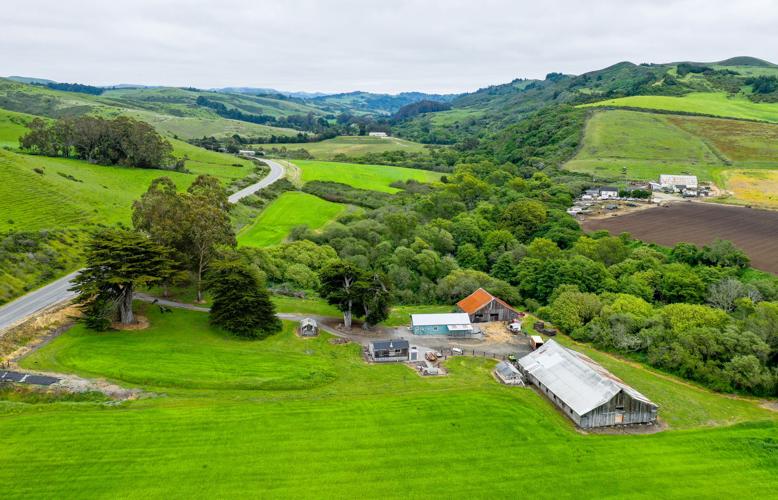 Rising Acres 2 - Teddy Miller 2019.jpg