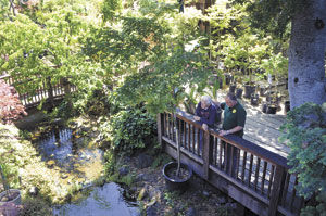 Carlmont Nursery says goodbye Tyler family business to close