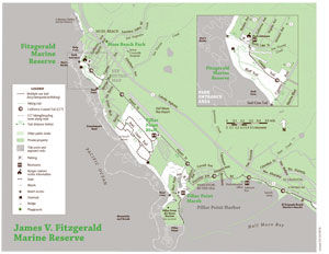 Pillar Point bluffs preserved in perpetuity: County parks, nonprofit Peninsula Open Space District partner to link coastal trail