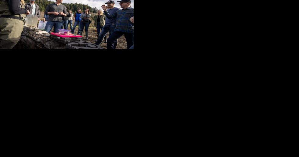 Newsom backs dam-removal projects aimed at sustaining salmon populations - Vimarsana News