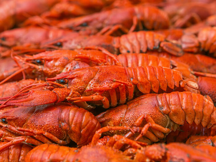 Amid Louisiana's crawfish shortage, governor issues disaster
