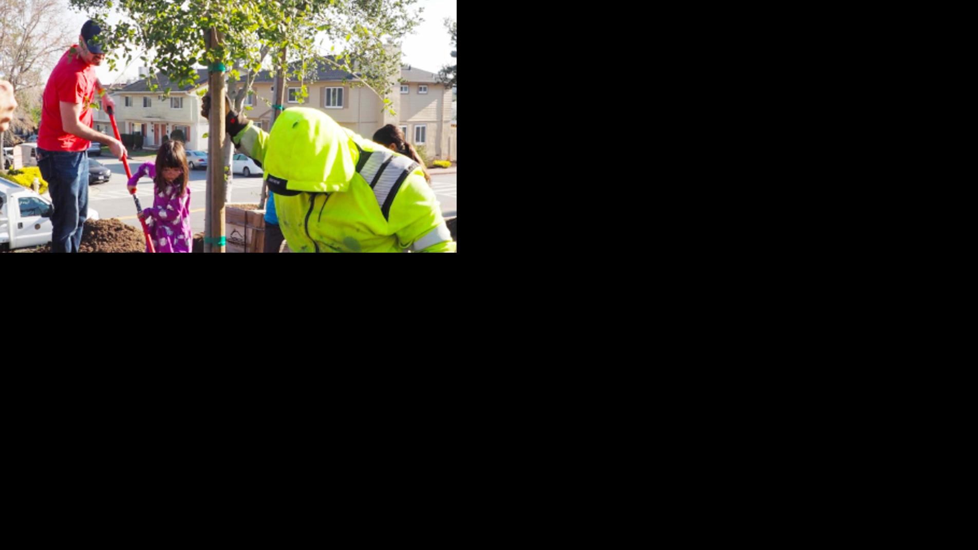 Millbrae to expand free tree-planting program