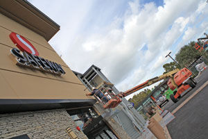 Great horned owl baby sent to surrogate mom