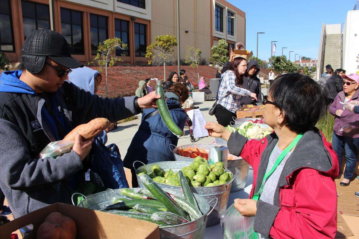 College Free Food Market Flourishes Skyline Second Harvest