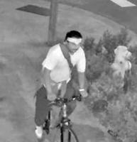 San Mateo police  search for sexual assault suspect