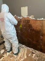 Eatery sues after mold infestation