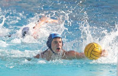 Hillsdale polo - Delchiaro