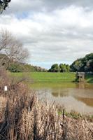 Volunteers to improve Waterdog Lake trail