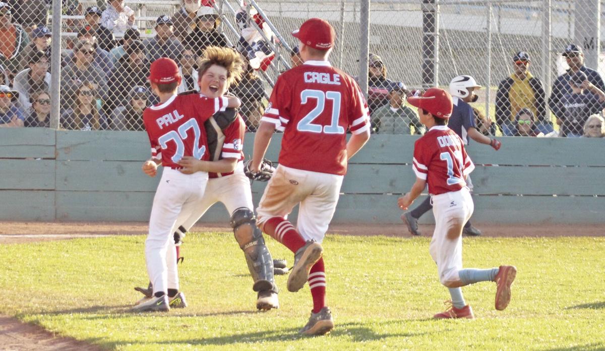 Belmont Redwood Shores Little League