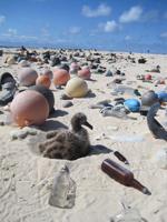 Expedition hauls tons of plastic out of remote Hawaii atolls