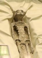 Scientists call fraud on supposed extraterrestrials presented to Mexican Congress