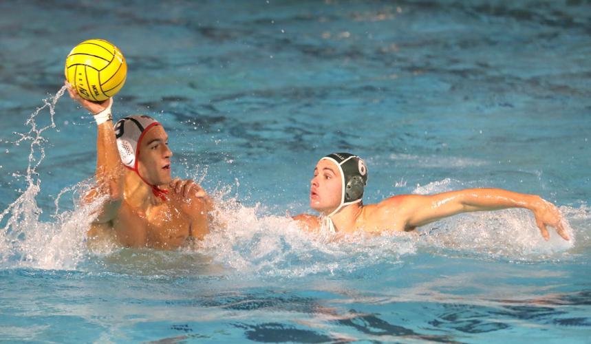 SHP polo: Oliver Marcin