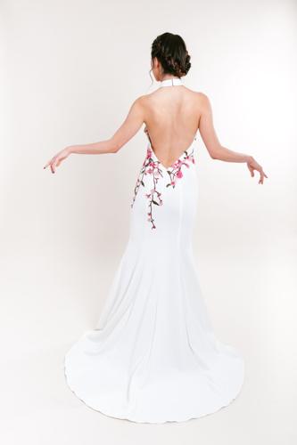 EMD-Celeste Dress-Back.jpg