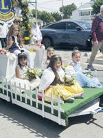 Posy Parade
