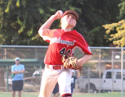 Hillsborough Little League champs