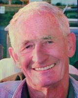 Nicholas D’Arcy Roche