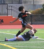 Woodside whips Newark