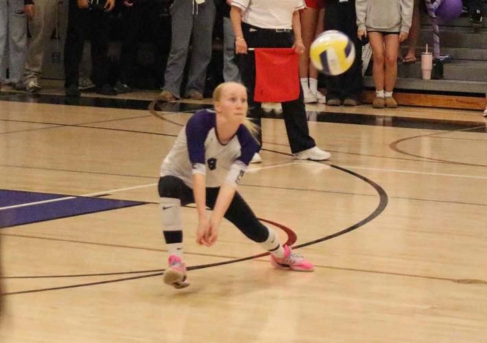 Sequoia volleyball: Annika Mock